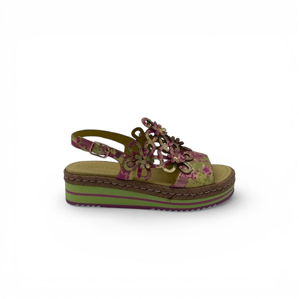 Aldo