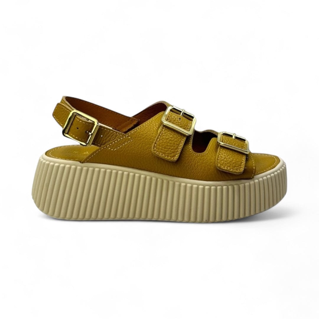 Ateliers Shoes 6 / courtney / 1.75 inches Courtney